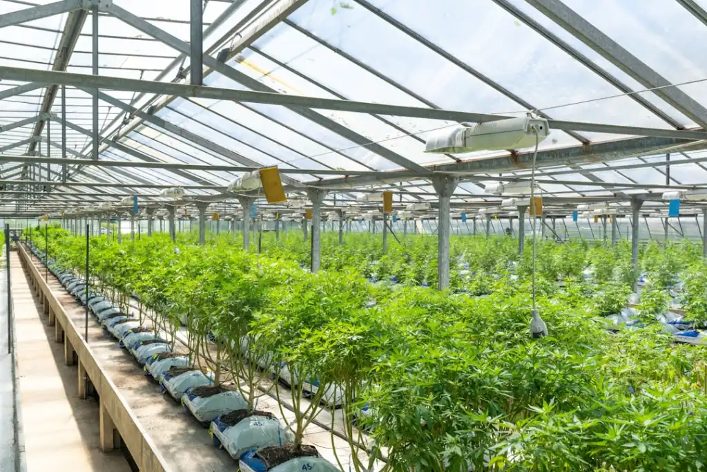 2025羽绒服防寒面料技术升级趋势与行业应用前景